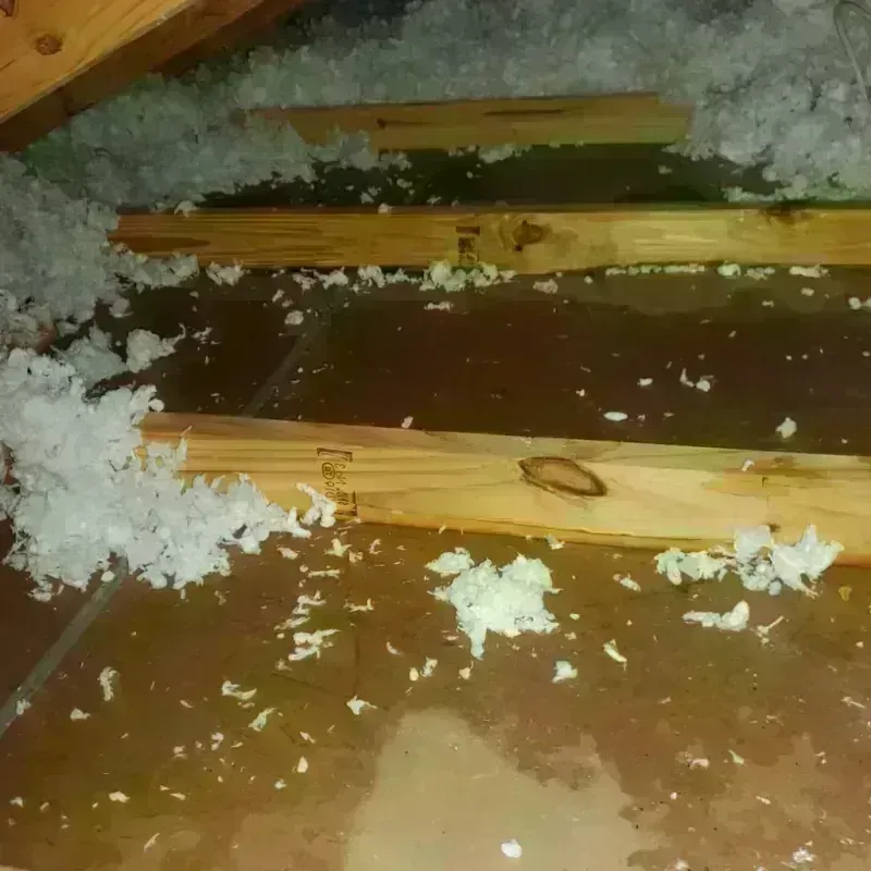 Attic Water Damage in Berrien Springs, MI